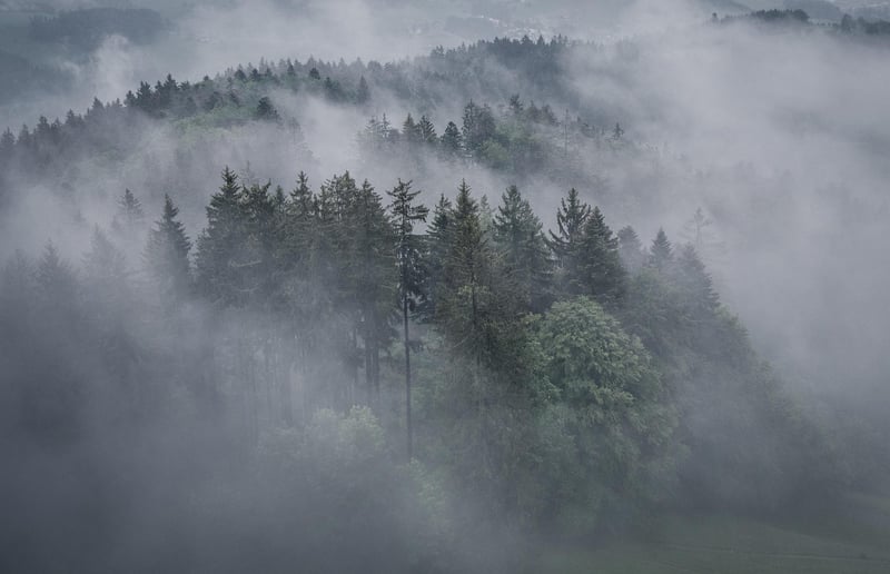 Drone Shot