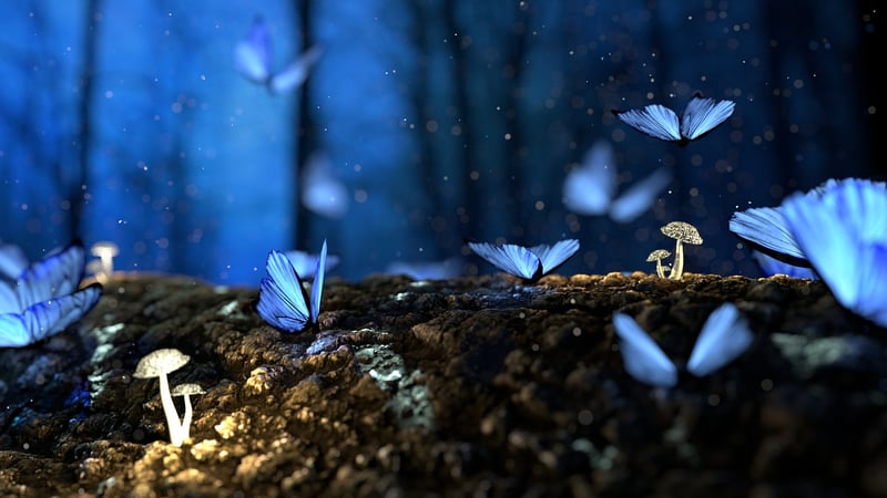 Mystical Forest